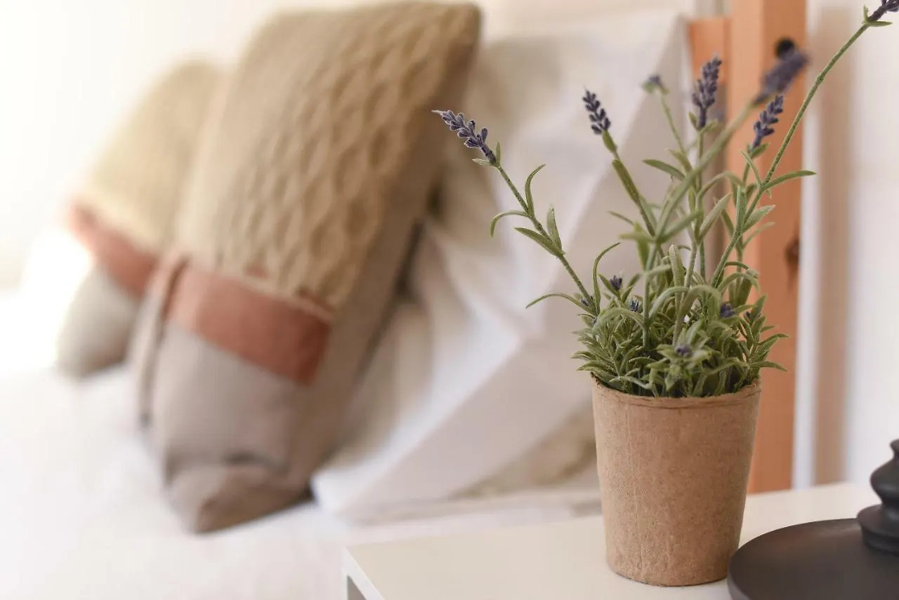 Charming Apartment - Lisbon Center